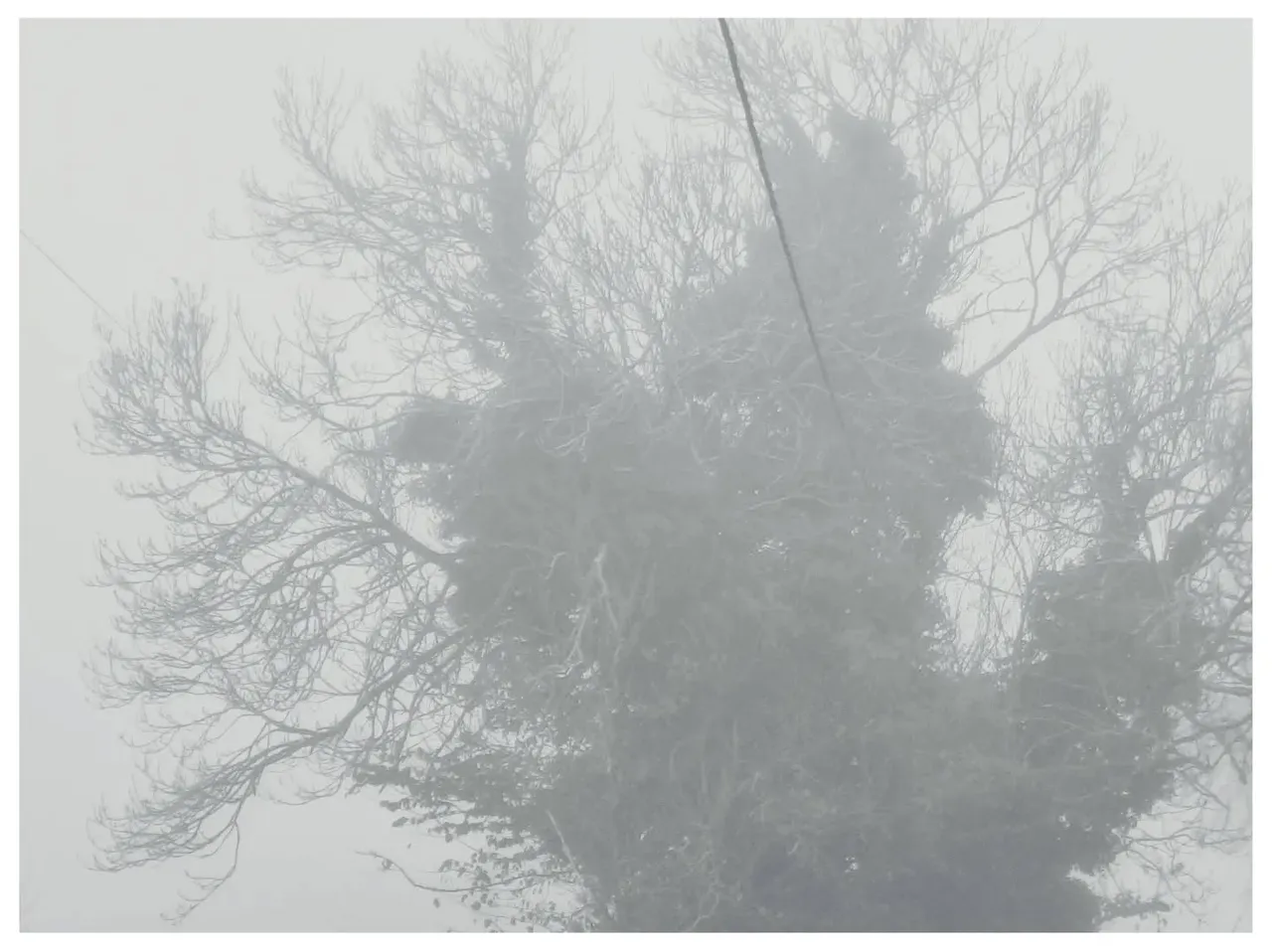 Fog is easy pick'ns.