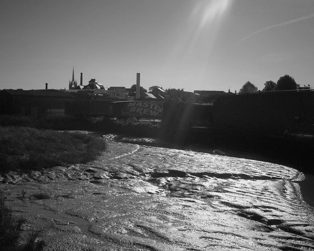 Photograph