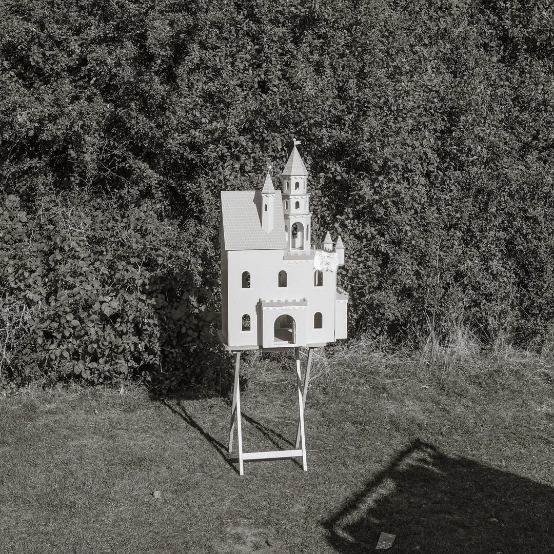 Photograph
