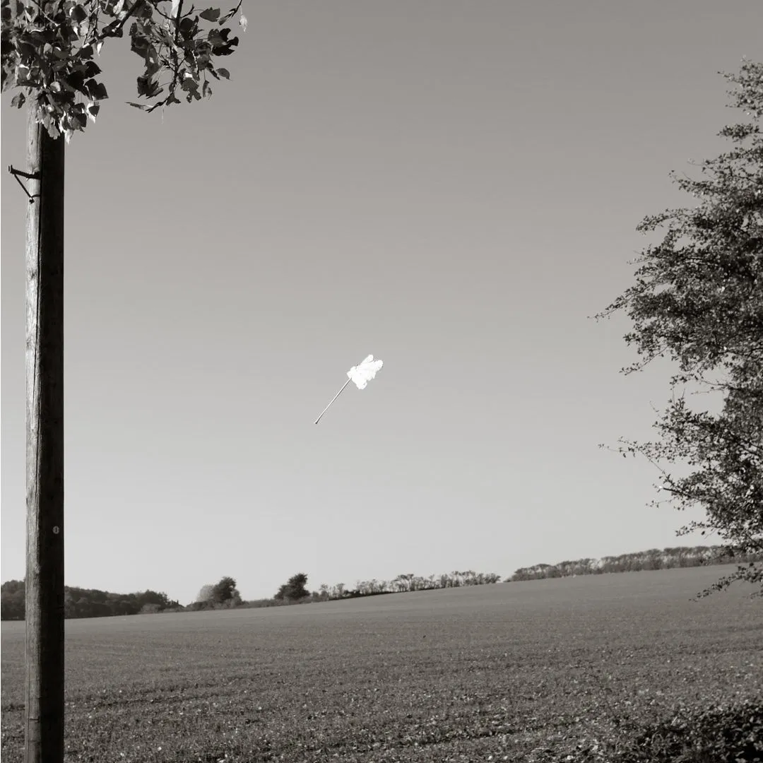 Photograph