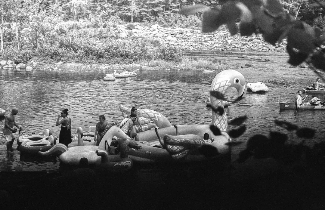 Photograph