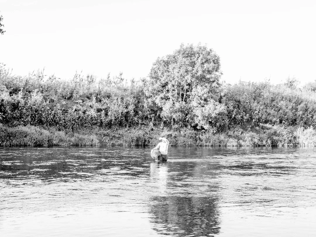 Photograph