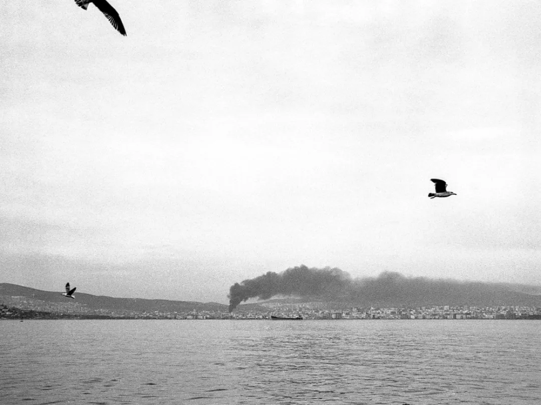Photograph