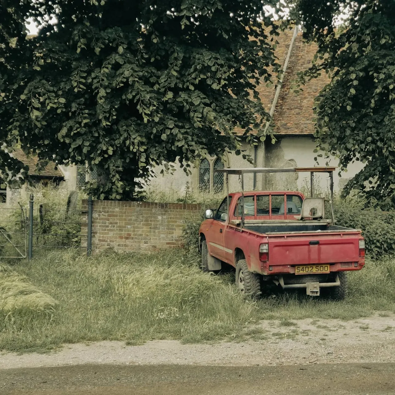 Photograph